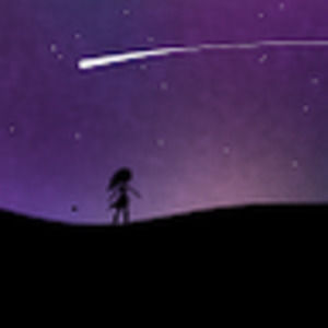 Meet your Posher, Chim